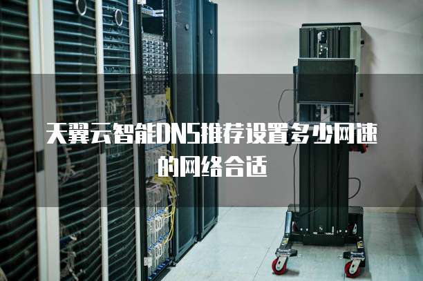 天翼云智能DNS推荐设置多少网速的网络合适