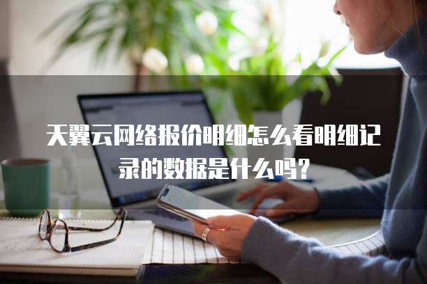 天翼云网络报价明细怎么看明细记录的数据是什么吗？