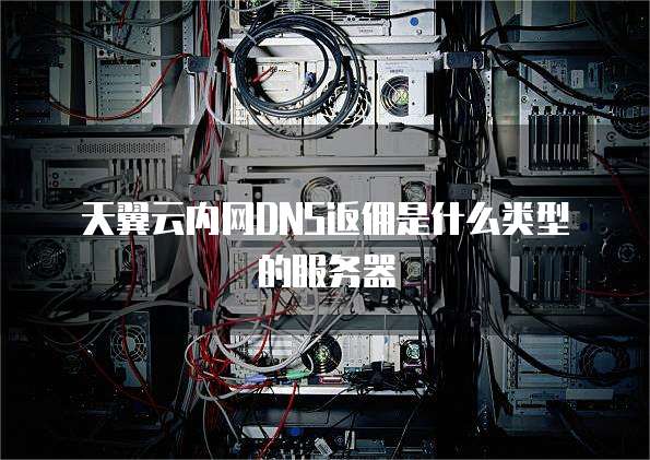 天翼云内网DNS返佣是什么类型的服务器