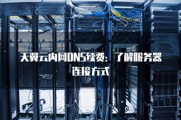 天翼云内网DNS续费:了解服务器连接方式