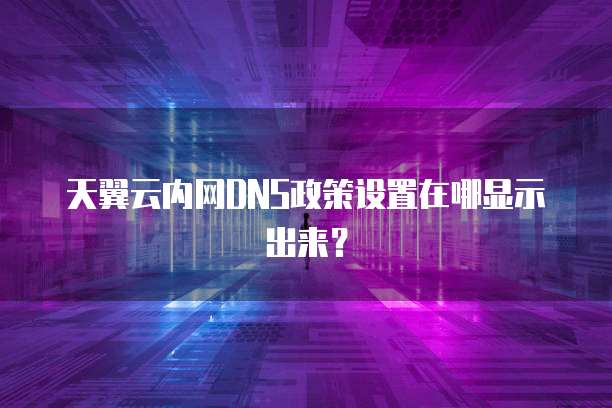 天翼云内网DNS政策设置在哪显示出来?