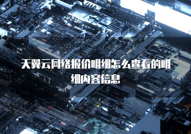 天翼云网络报价明细怎么查看的明细内容信息