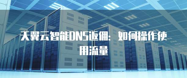 天翼云智能DNS返佣:如何操作使用流量