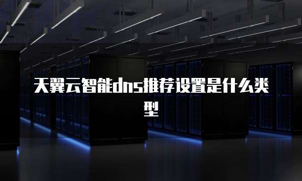 天翼云智能dns推荐设置是什么类型
