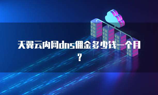 天翼云内网dns佣金多少钱一个月?