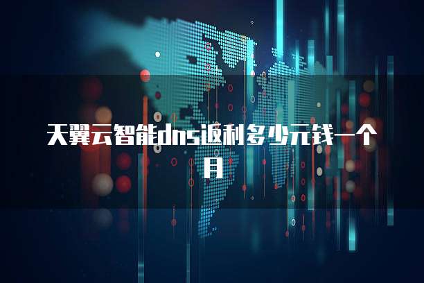 天翼云智能dns返利多少元钱一个月