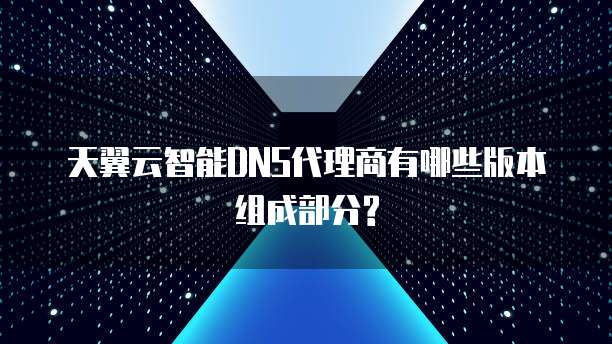 天翼云智能DNS代理商有哪些版本组成部分?