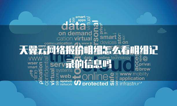 天翼云网络报价明细怎么看明细记录的信息吗