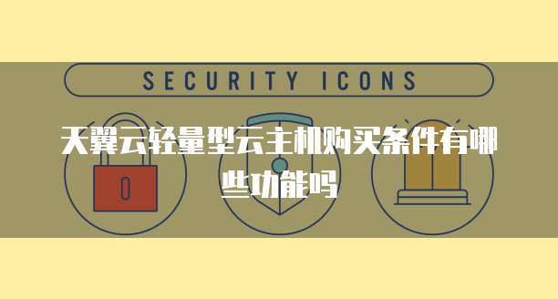天翼云轻量型云主机购买条件有哪些功能吗