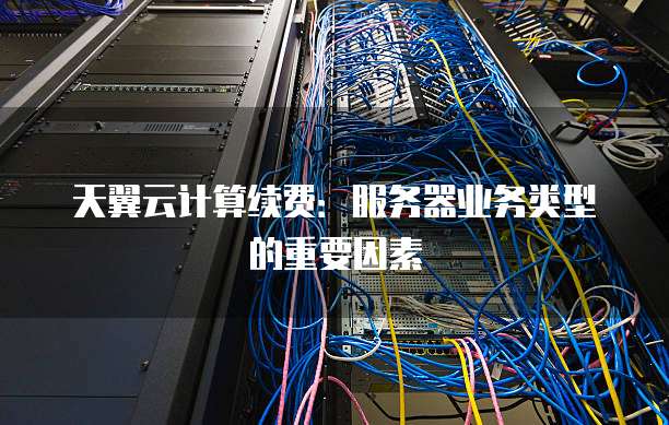 天翼云计算续费:服务器业务类型的重要因素
