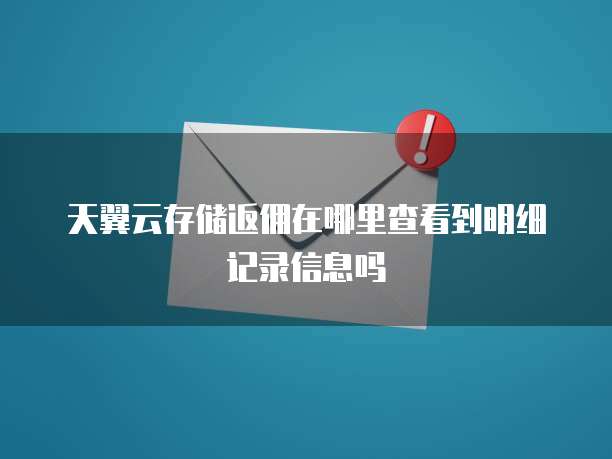 天翼云存储返佣在哪里查看到明细记录信息吗