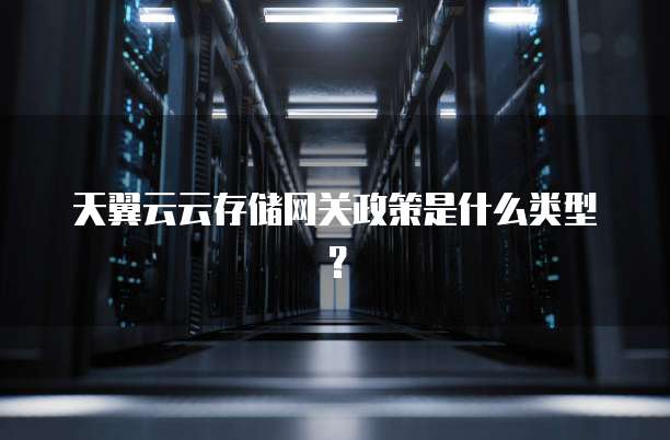 天翼云云存储网关政策是什么类型?