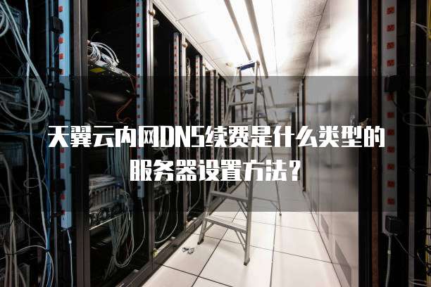 天翼云内网DNS续费是什么类型的服务器设置方法?