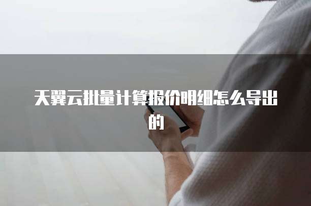 天翼云批量计算报价明细怎么导出的
