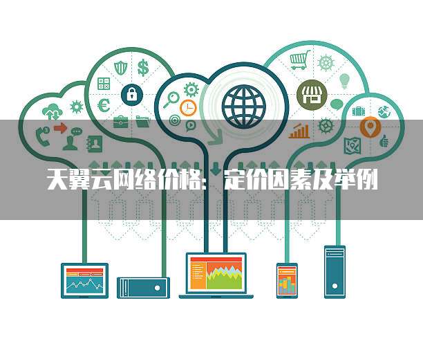 天翼云网络价格:定价因素及举例