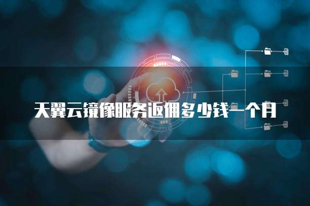 天翼云镜像服务返佣多少钱一个月