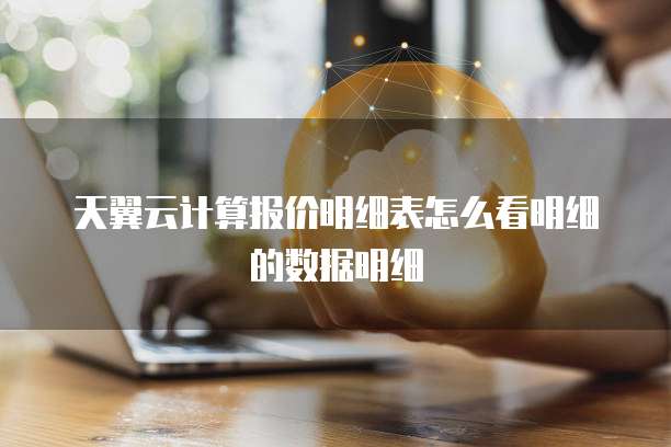 天翼云计算报价明细表怎么看明细的数据明细