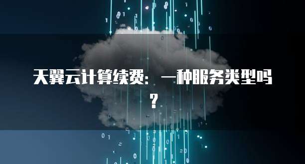 天翼云计算续费：一种服务类型吗？