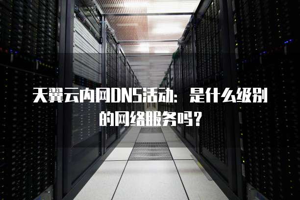 天翼云内网DNS活动:是什么级别的网络服务吗?