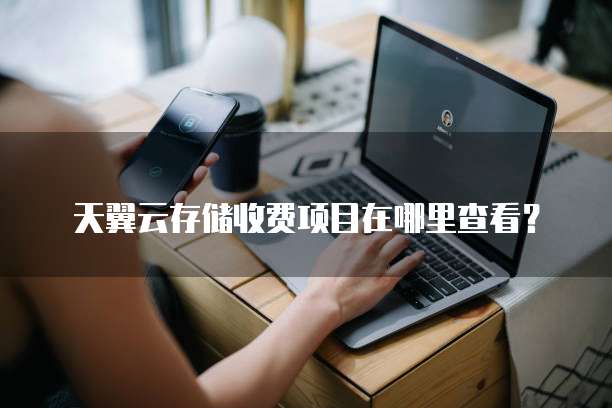 天翼云存储收费项目在哪里查看?