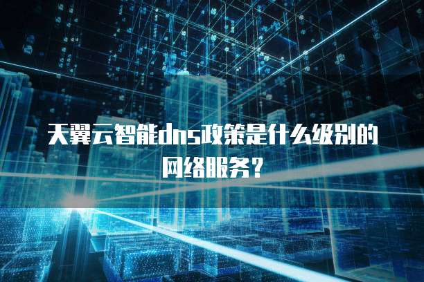 天翼云智能dns政策是什么级别的网络服务?