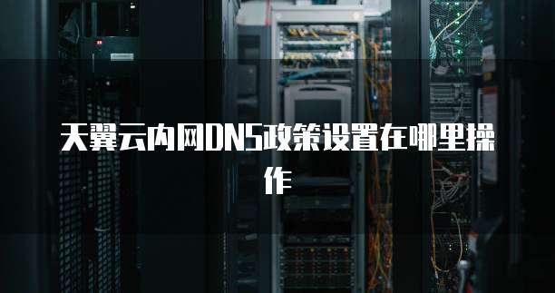 天翼云内网DNS政策设置在哪里操作