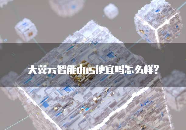 天翼云智能dns便宜吗怎么样?