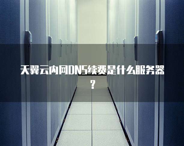 天翼云内网DNS续费是什么服务器？