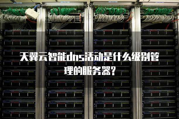 天翼云智能dns活动是什么级别管理的服务器?