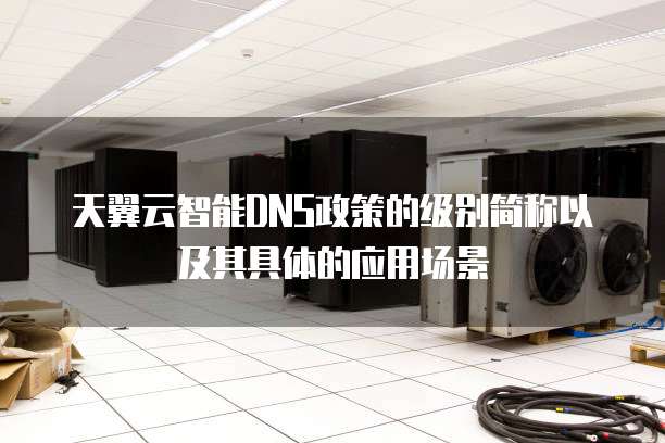 天翼云智能DNS政策的级别简称以及其具体的应用场景