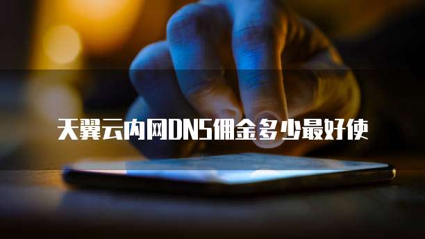 天翼云内网DNS佣金多少最好使