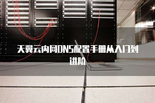 天翼云内网DNS配置手册从入门到进阶