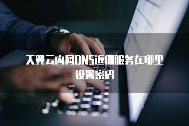  天翼云内网DNS返佣服务在哪里设置密码