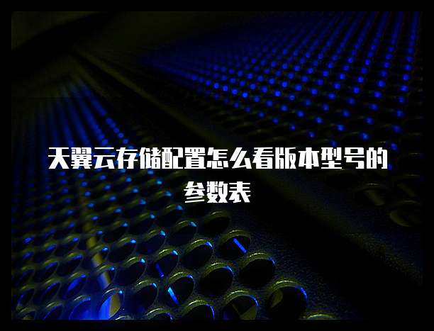 天翼云存储配置怎么看版本型号的参数表