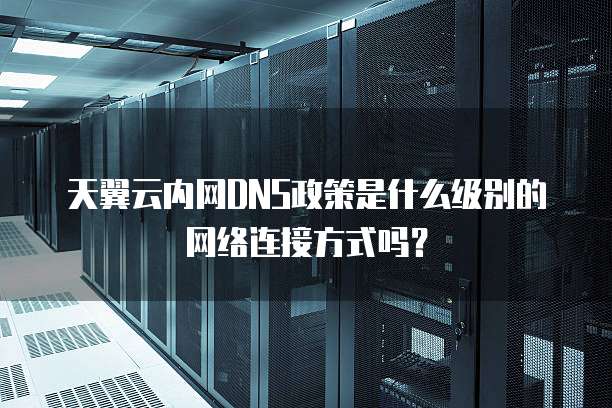 天翼云内网DNS政策是什么级别的网络连接方式吗?