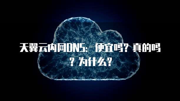天翼云内网DNS:便宜吗?真的吗?为什么?