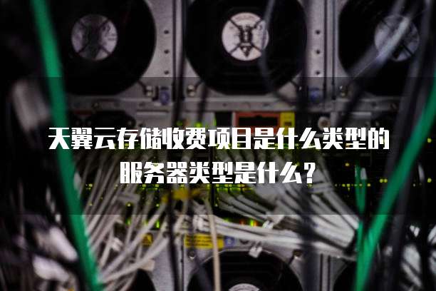 天翼云存储收费项目是什么类型的服务器类型是什么？