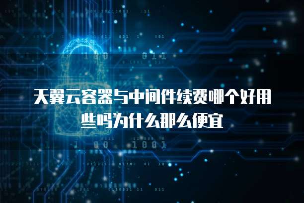 天翼云容器与中间件续费哪个好用些吗为什么那么便宜