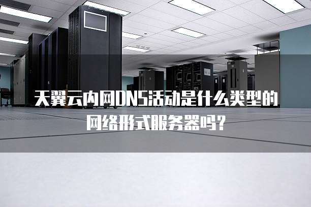 天翼云内网DNS活动是什么类型的网络形式服务器吗?