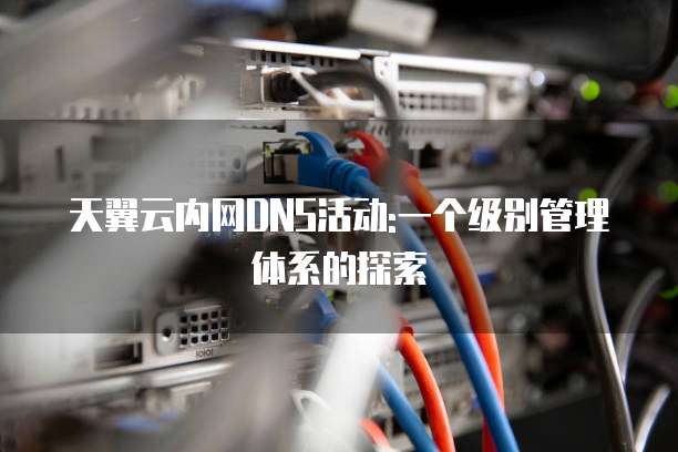 天翼云内网DNS活动:一个级别管理体系的探索