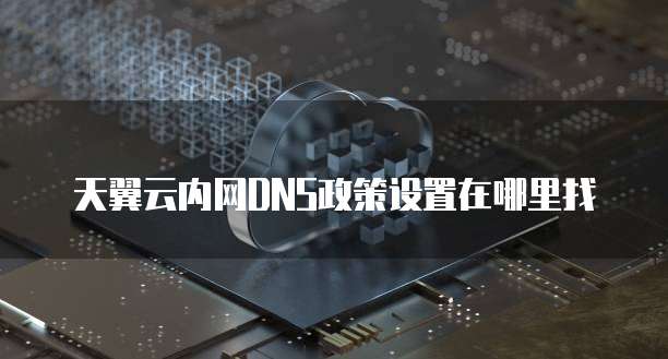 天翼云内网DNS政策设置在哪里找