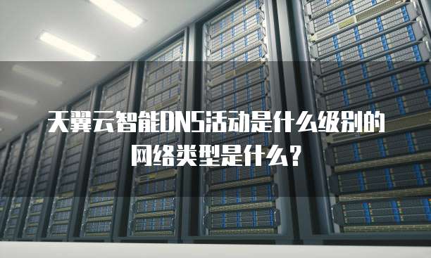 天翼云智能DNS活动是什么级别的网络类型是什么?