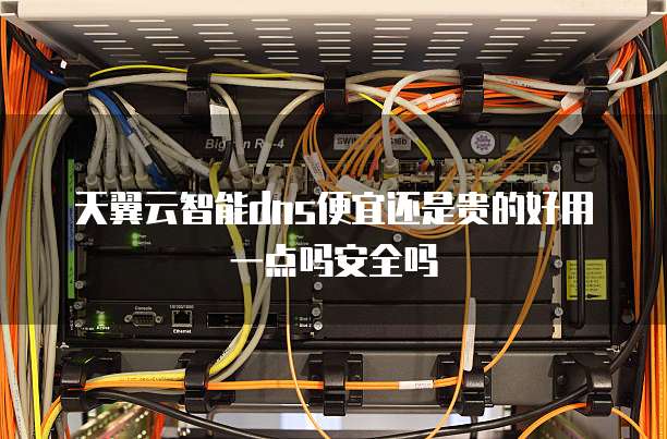 天翼云智能dns便宜还是贵的好用一点吗安全吗