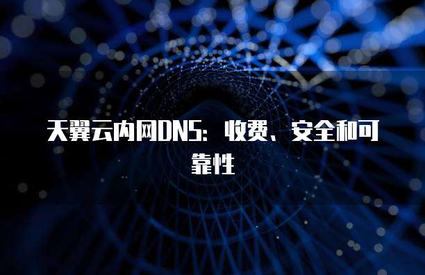 天翼云内网DNS：收费、安全和可靠性