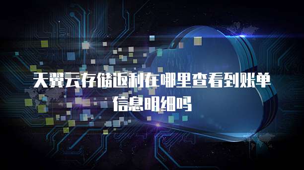 天翼云存储返利在哪里查看到账单信息明细吗