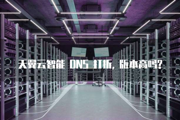 天翼云智能 DNS 打折, 版本高吗?