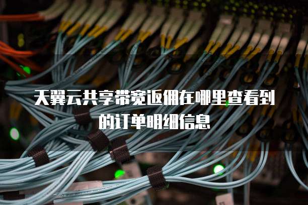 天翼云共享带宽返佣在哪里查看到的订单明细信息