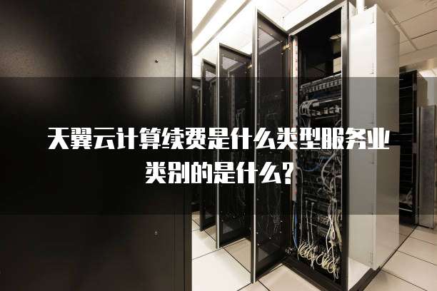 天翼云计算续费是什么类型服务业类别的是什么?