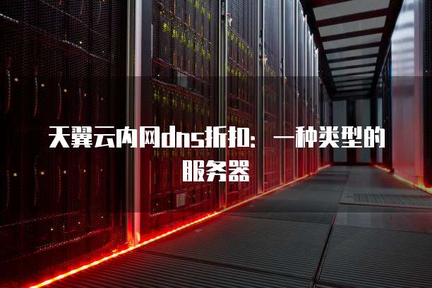 天翼云内网dns折扣:一种类型的服务器