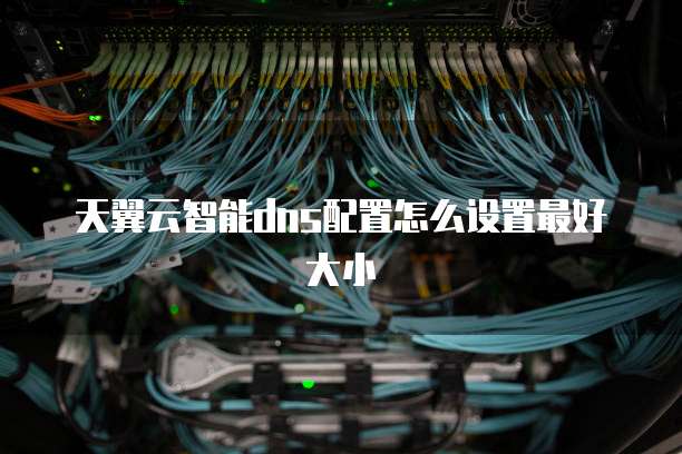 天翼云智能dns配置怎么设置最好大小